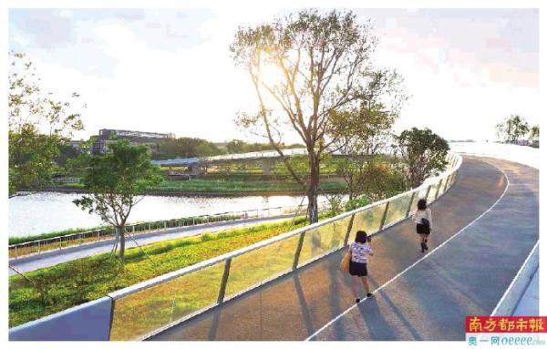 生态公园步道建设